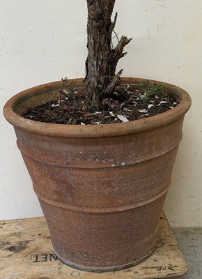 Lot 244 - Terracotta planter with two rings detail H58cm...