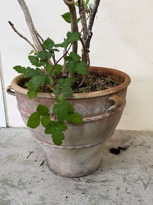 Lot 231 - A large terracotta planter with handles to side