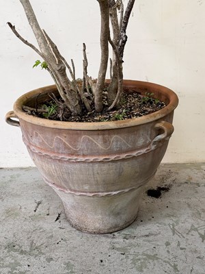 Lot 232 - A large terracotta planter with handles to...