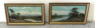 Lot 269 - A pair of oil paintings of two lake or shore...