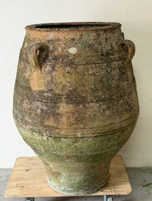 Lot 213 - Terracotta olive pot with weathered pitina H100cm