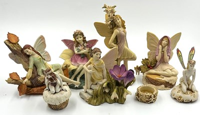 Lot 315 - A selection of Faeries porcelain figurines by...