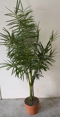 Lot 77 - A faux house plant H200cm