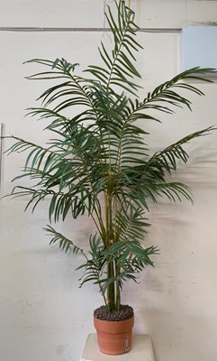 Lot 76 - Large faux house plant