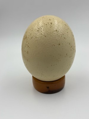 Lot 436A - A South African Ostrich egg on turned wooden...